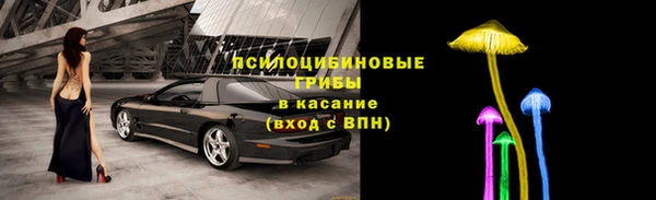 индика Балахна