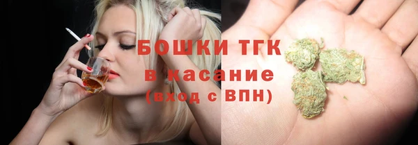 индика Балахна