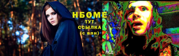 индика Балахна
