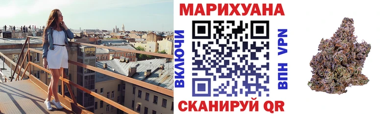 Каннабис сатива Иноземцево